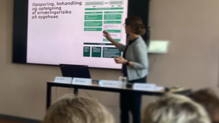 Billede der viser undervisningssituation