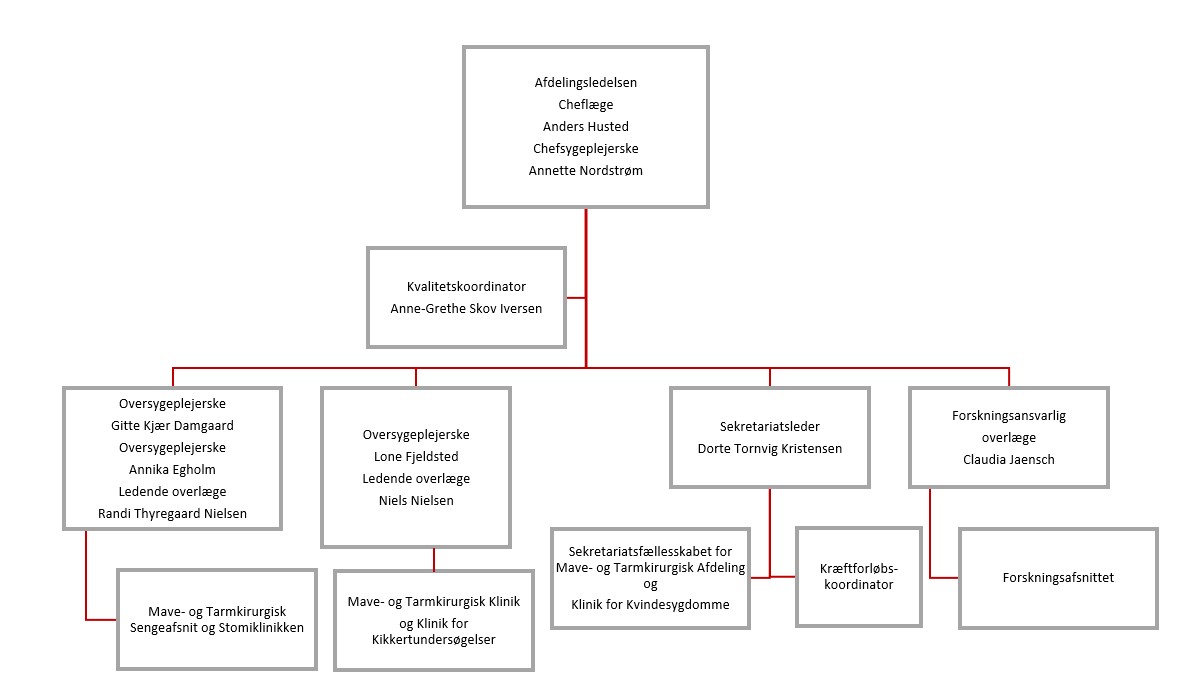 Mave- tarmkirurgi: organisationsdiagram