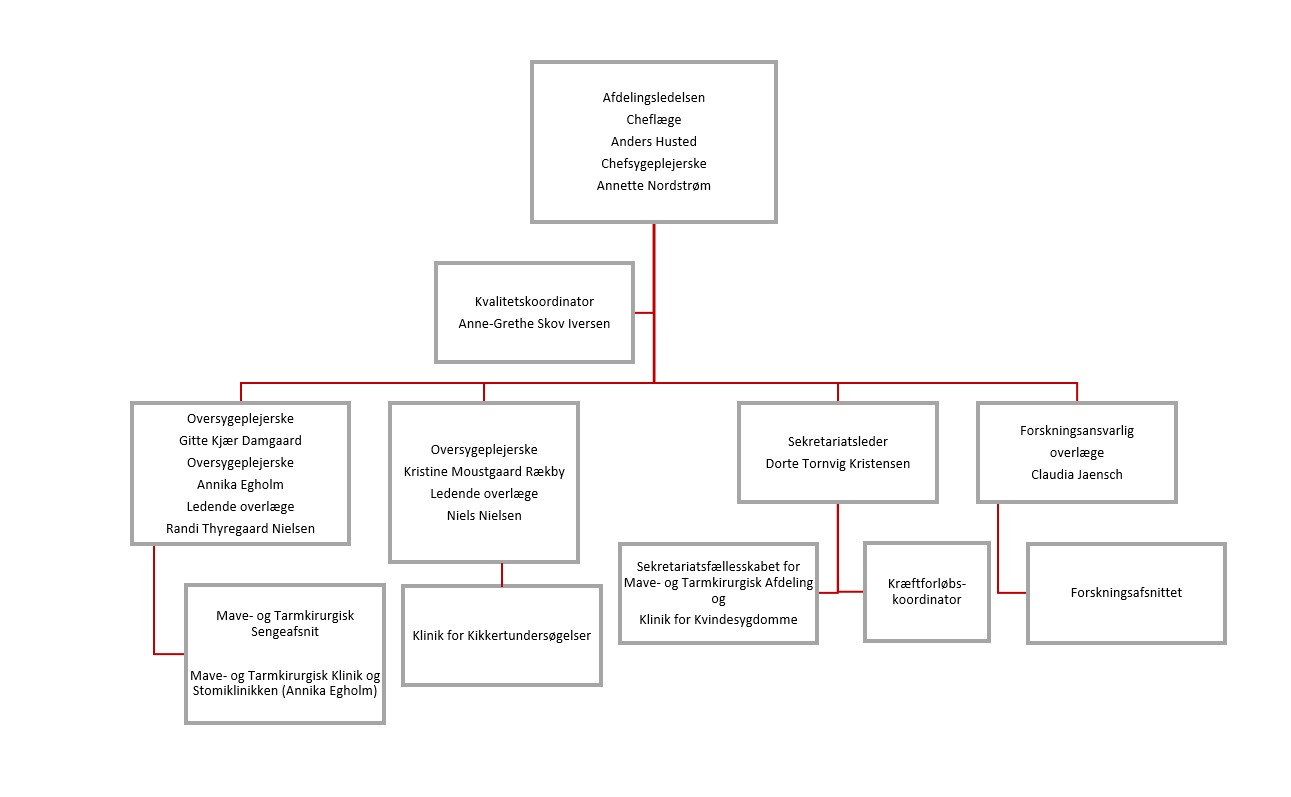 Mave- tarmkirurgi: organisationsdiagram