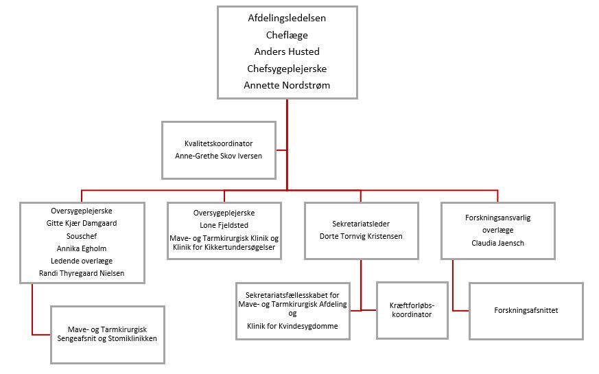 Mave- tarmkirurgi: organisationsdiagram